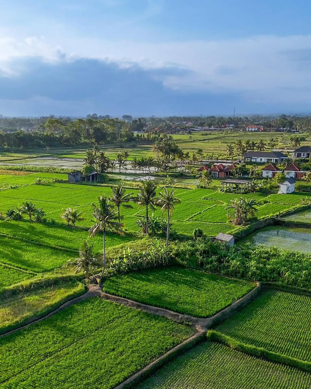 Ikada Villa By Pramana Villas Убуд Экстерьер фото