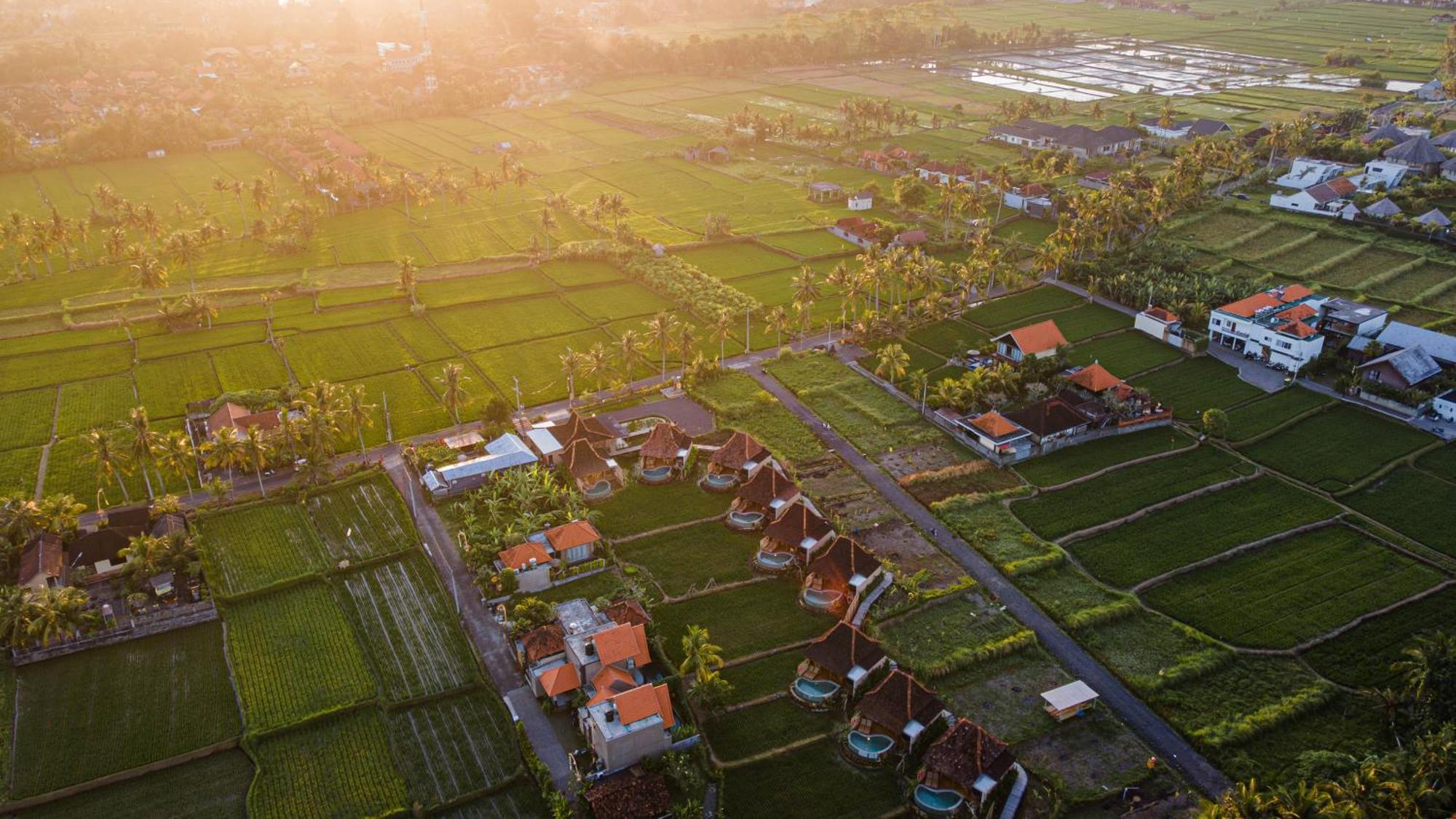 Ikada Villa By Pramana Villas Убуд Экстерьер фото